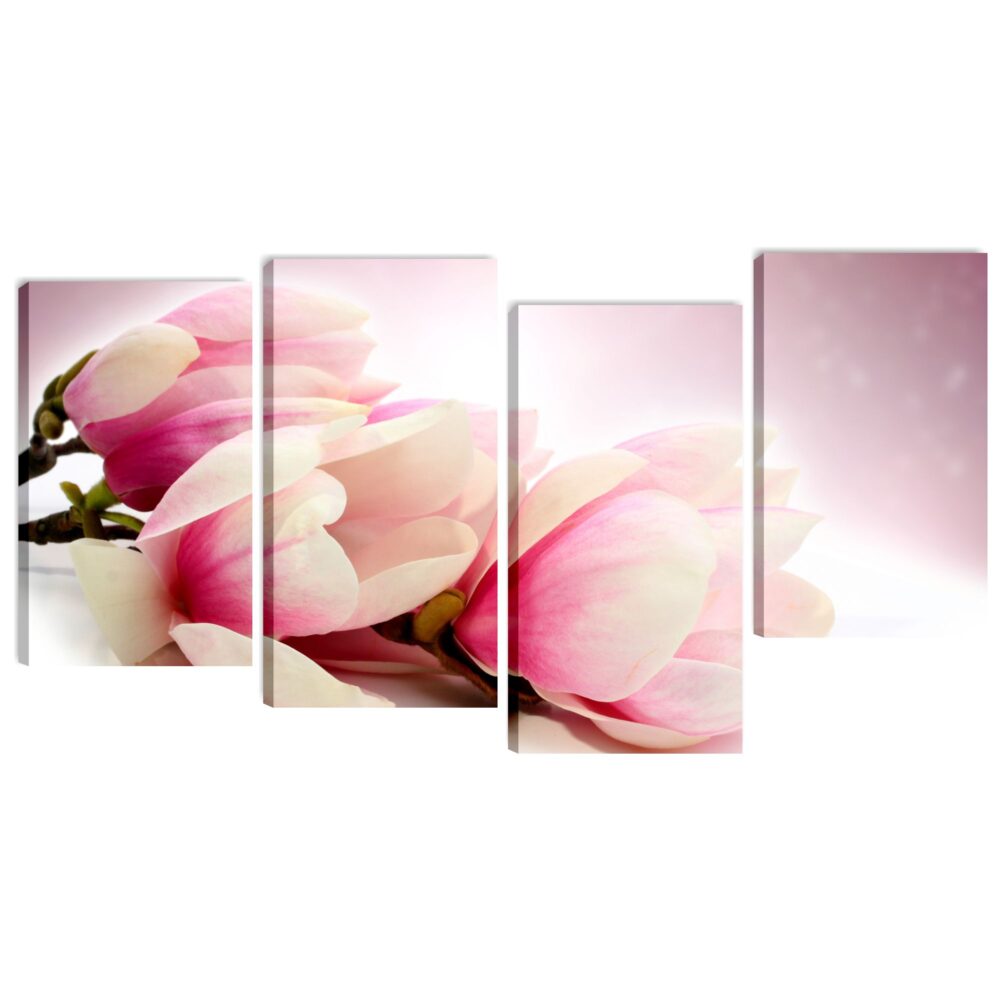 Magnolia