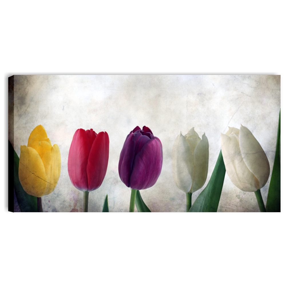 Tulipani vintage