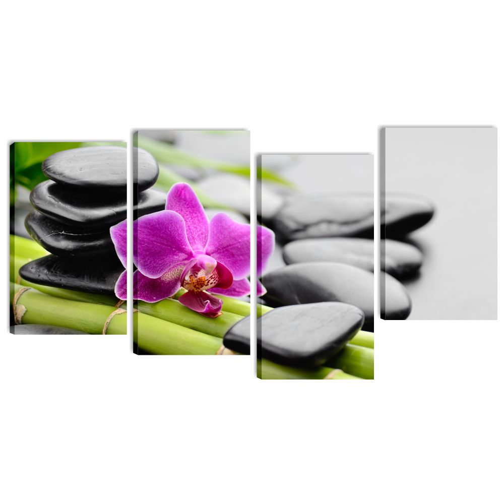 Orchidea e sassi