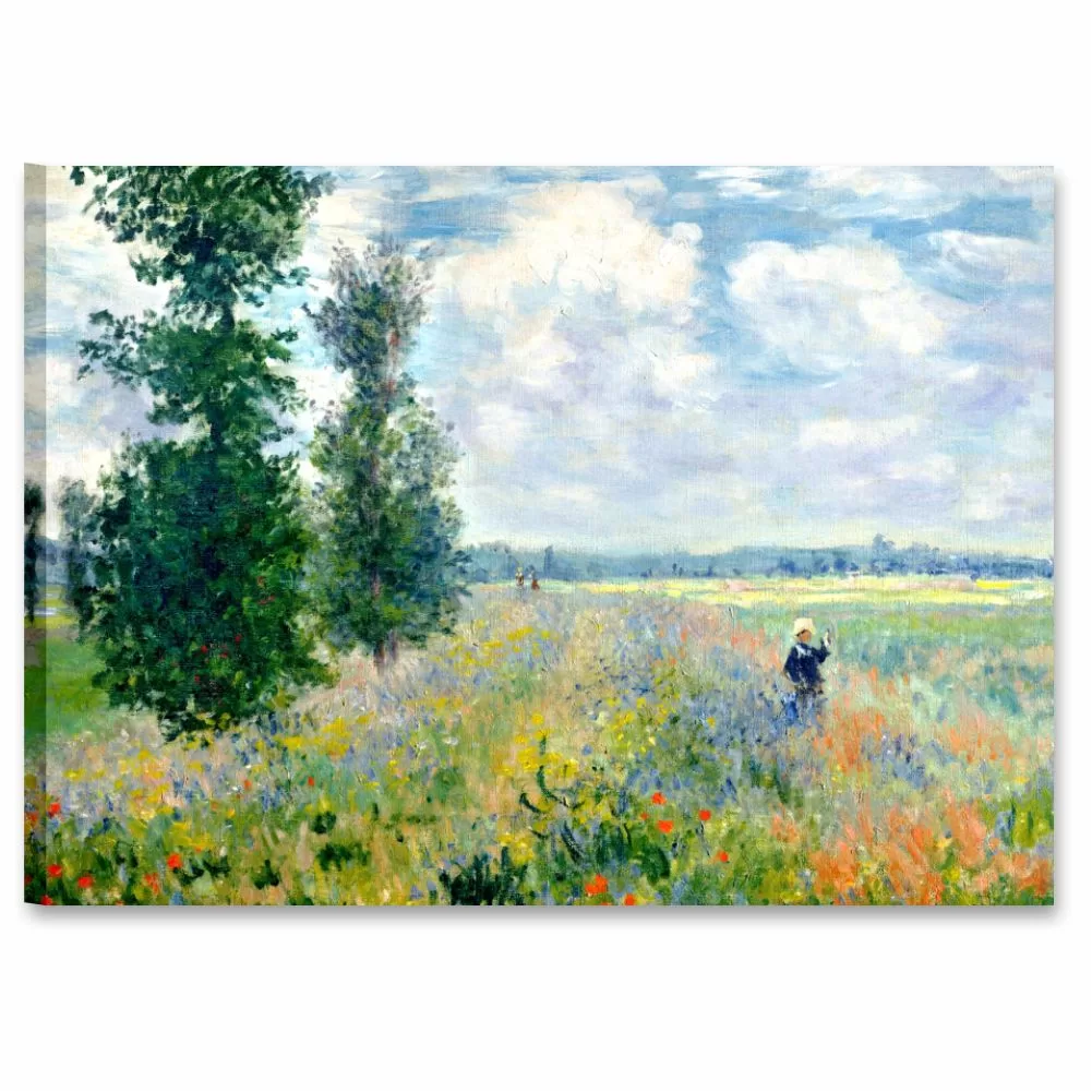 Campo di papaveri